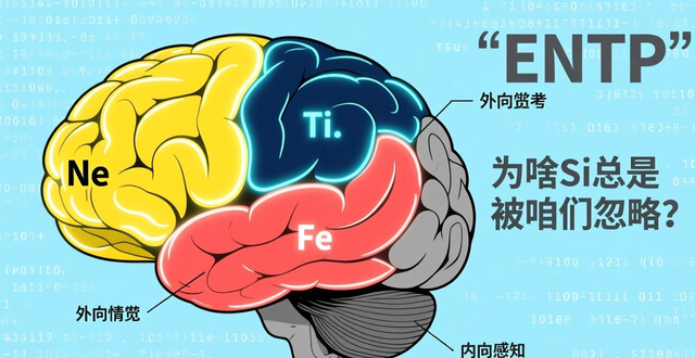 entp功能排序 八维解析｜杠精大脑运行代码，看完终于懂自己